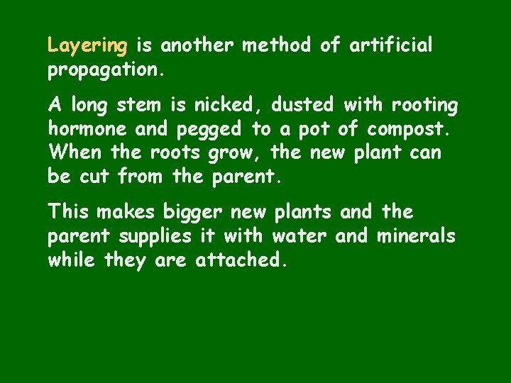 Layering is another method of artificial propagation. A long stem is nicked, dusted with