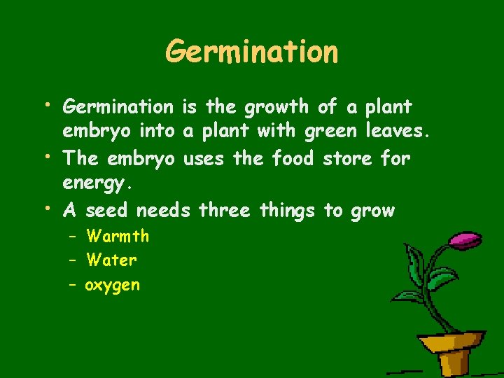 Germination • Germination is the growth of a plant embryo into a plant with