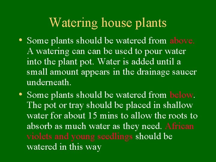 Watering house plants • Some plants should be watered from above. A watering can