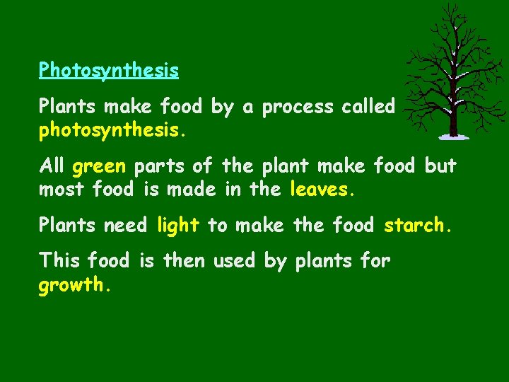 Photosynthesis Plants make food by a process called photosynthesis. All green parts of the