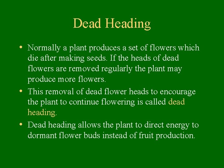 Dead Heading • Normally a plant produces a set of flowers which die after