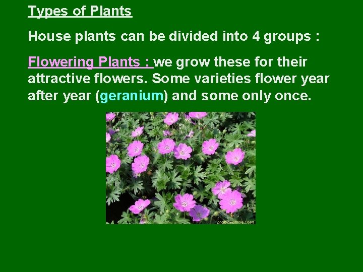 Types of Plants House plants can be divided into 4 groups : Flowering Plants