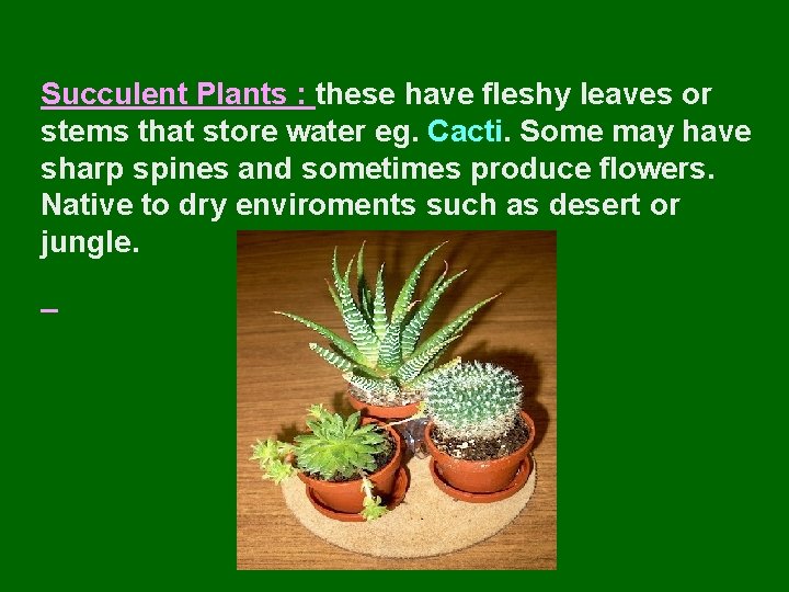 Succulent Plants : these have fleshy leaves or stems that store water eg. Cacti.