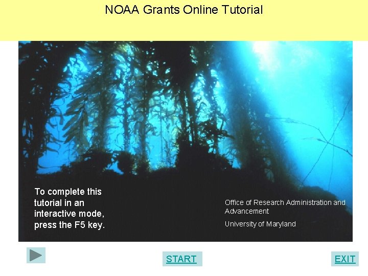 NOAA Grants Online Tutorial To complete this tutorial in an interactive mode, press the