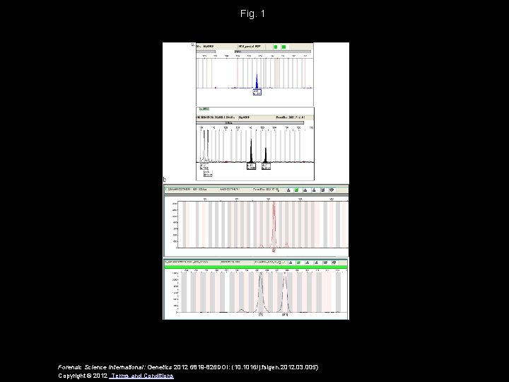 Fig. 1 Forensic Science International: Genetics 2012 6819 -826 DOI: (10. 1016/j. fsigen. 2012.