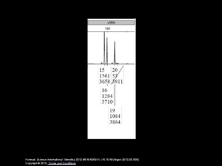 Forensic Science International: Genetics 2012 6819 -826 DOI: (10. 1016/j. fsigen. 2012. 03. 005)