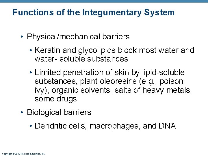 Functions of the Integumentary System • Physical/mechanical barriers • Keratin and glycolipids block most