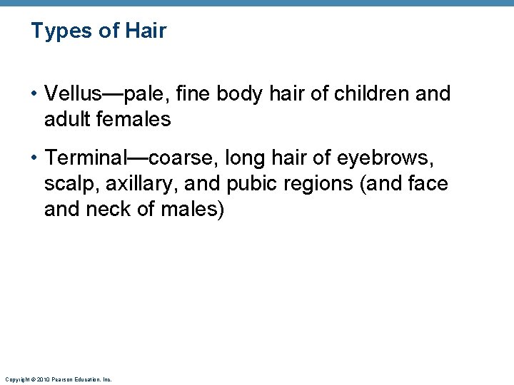 Types of Hair • Vellus—pale, fine body hair of children and adult females •