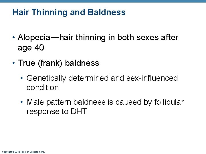 Hair Thinning and Baldness • Alopecia—hair thinning in both sexes after age 40 •