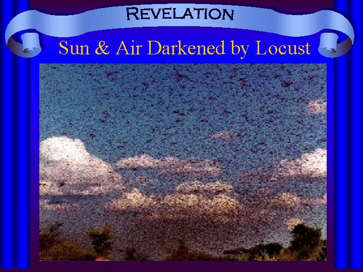 Sun & Air Darkened by Locust 