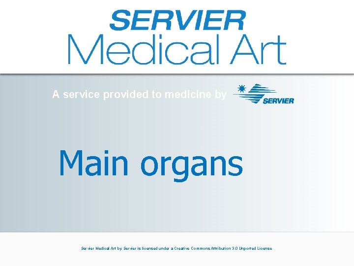 A service provided to medicine by Main organs Servier Medical Art by Servier is