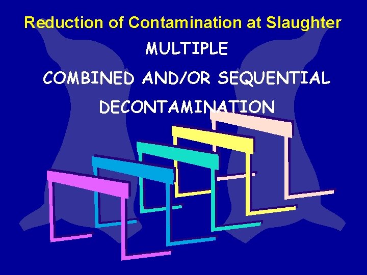 Reduction of Contamination at Slaughter MULTIPLE COMBINED AND/OR SEQUENTIAL DECONTAMINATION Reduction of Contamination at Slaughter MULTIPLE COMBINED AND/OR SEQUENTIAL DECONTAMINATION