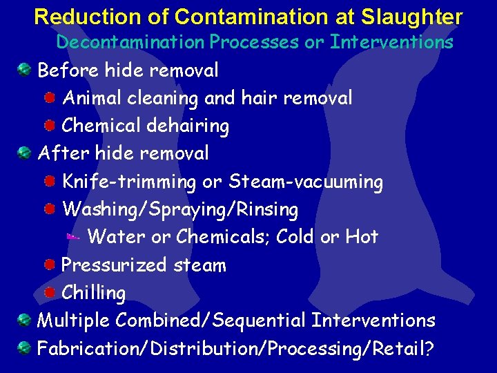 Reduction of Contamination at Slaughter Decontamination Processes or Interventions Before hide removal Animal cleaning Reduction of Contamination at Slaughter Decontamination Processes or Interventions Before hide removal Animal cleaning