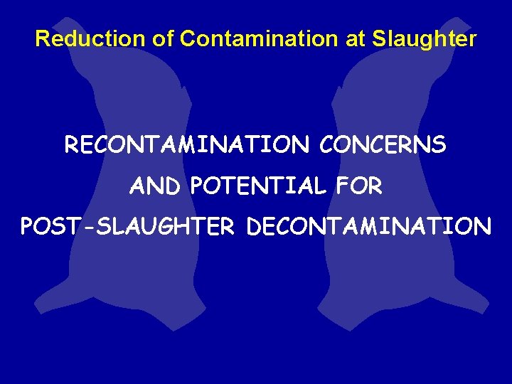 Reduction of Contamination at Slaughter RECONTAMINATION CONCERNS AND POTENTIAL FOR POST-SLAUGHTER DECONTAMINATION Reduction of Contamination at Slaughter RECONTAMINATION CONCERNS AND POTENTIAL FOR POST-SLAUGHTER DECONTAMINATION