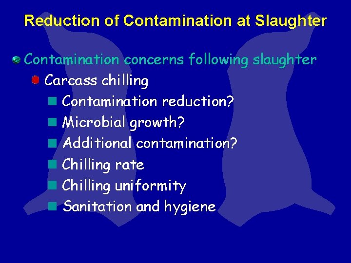 Reduction of Contamination at Slaughter Contamination concerns following slaughter Carcass chilling Contamination reduction? Microbial Reduction of Contamination at Slaughter Contamination concerns following slaughter Carcass chilling Contamination reduction? Microbial