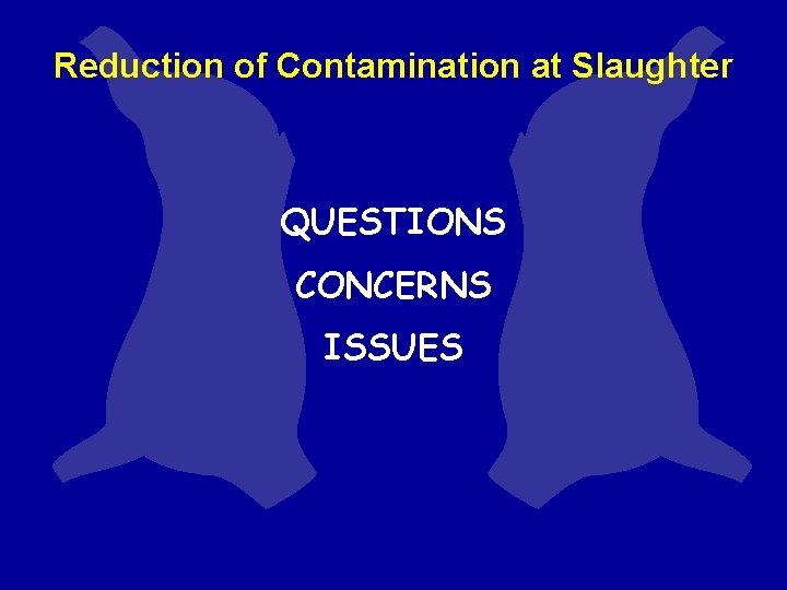 Reduction of Contamination at Slaughter QUESTIONS CONCERNS ISSUES Reduction of Contamination at Slaughter QUESTIONS CONCERNS ISSUES