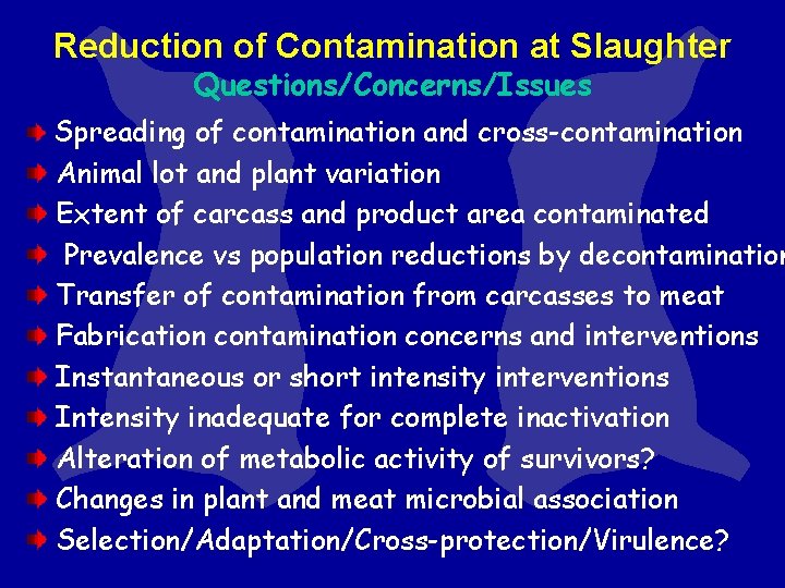 Reduction of Contamination at Slaughter Questions/Concerns/Issues Spreading of contamination and cross-contamination Animal lot and Reduction of Contamination at Slaughter Questions/Concerns/Issues Spreading of contamination and cross-contamination Animal lot and
