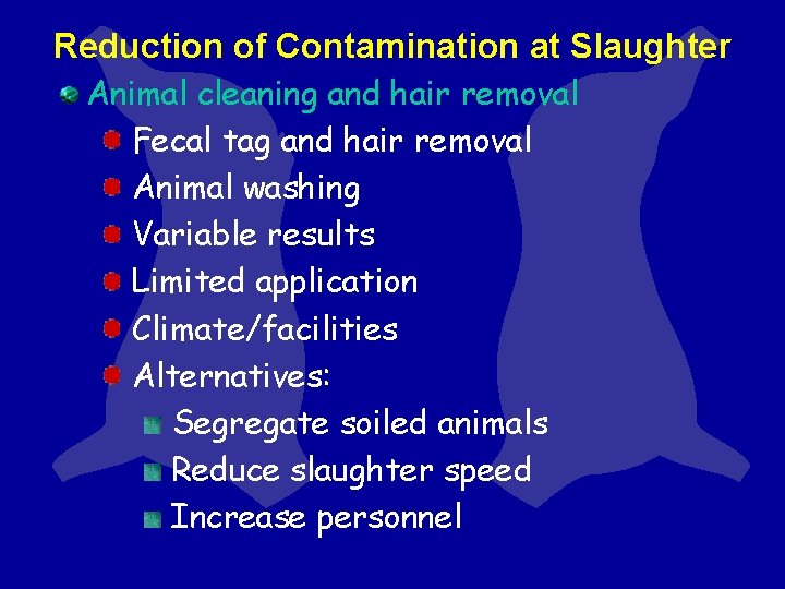 Reduction of Contamination at Slaughter Animal cleaning and hair removal Fecal tag and hair Reduction of Contamination at Slaughter Animal cleaning and hair removal Fecal tag and hair