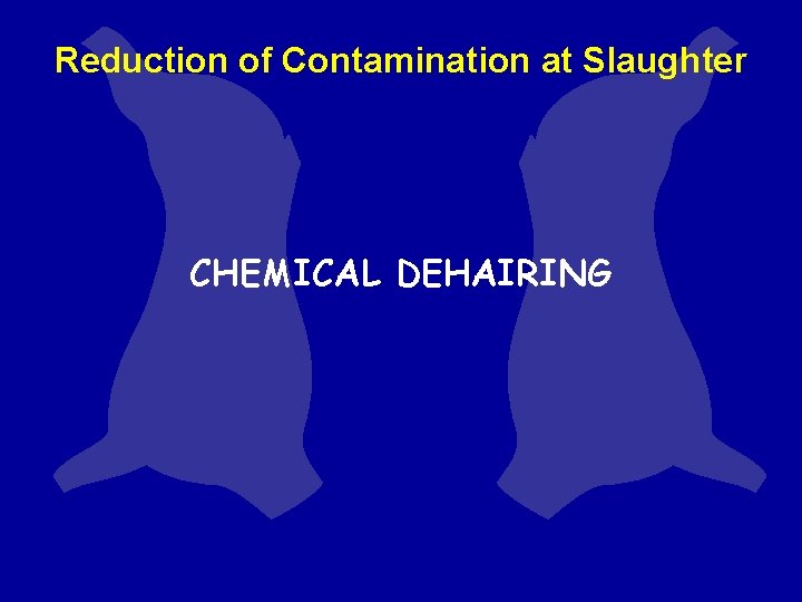 Reduction of Contamination at Slaughter CHEMICAL DEHAIRING Reduction of Contamination at Slaughter CHEMICAL DEHAIRING