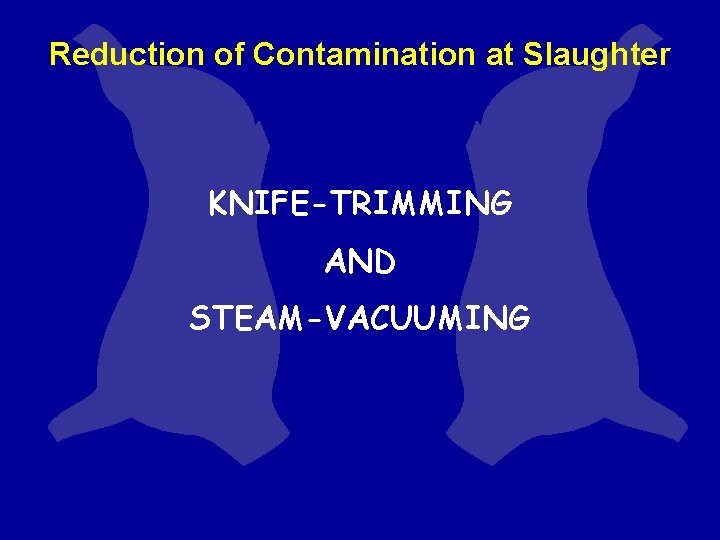 Reduction of Contamination at Slaughter KNIFE-TRIMMING AND STEAM-VACUUMING Reduction of Contamination at Slaughter KNIFE-TRIMMING AND STEAM-VACUUMING