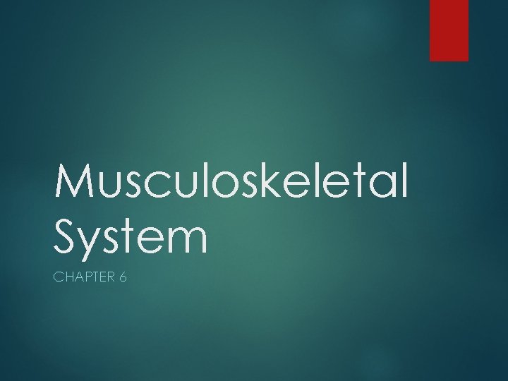 Musculoskeletal System CHAPTER 6 