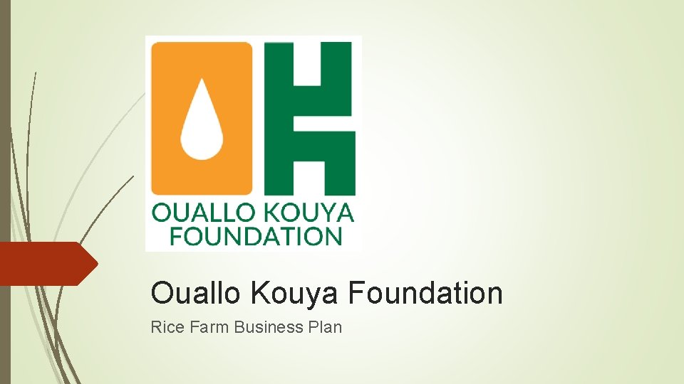 Ouallo Kouya Foundation Rice Farm Business Plan 