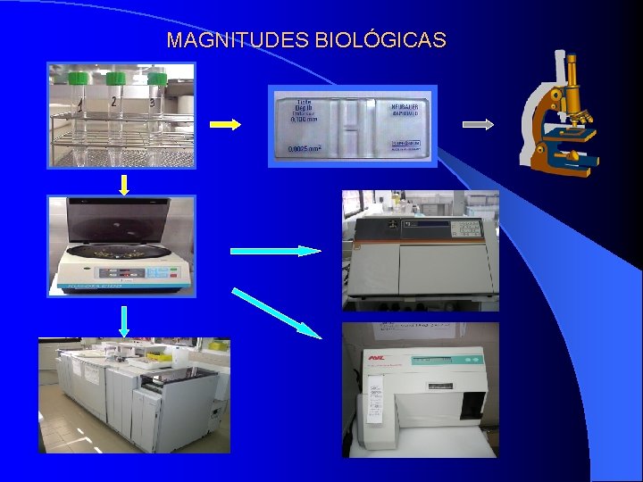 MAGNITUDES BIOLÓGICAS 