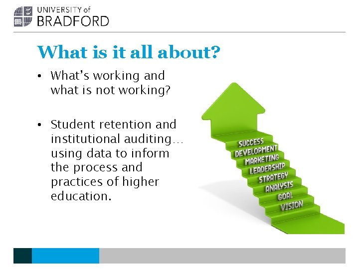 What is it all about? • What’s working and what is not working? • What is it all about? • What’s working and what is not working? •