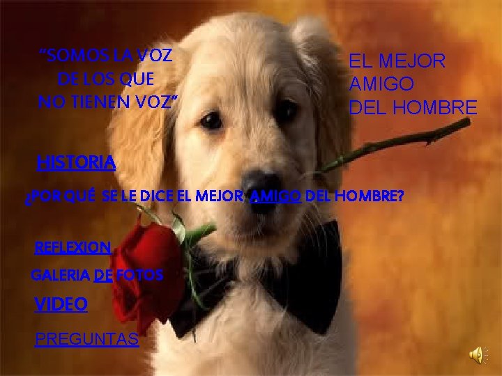 “SOMOS LA VOZ DE LOS QUE NO TIENEN VOZ” EL MEJOR AMIGO DEL HOMBRE