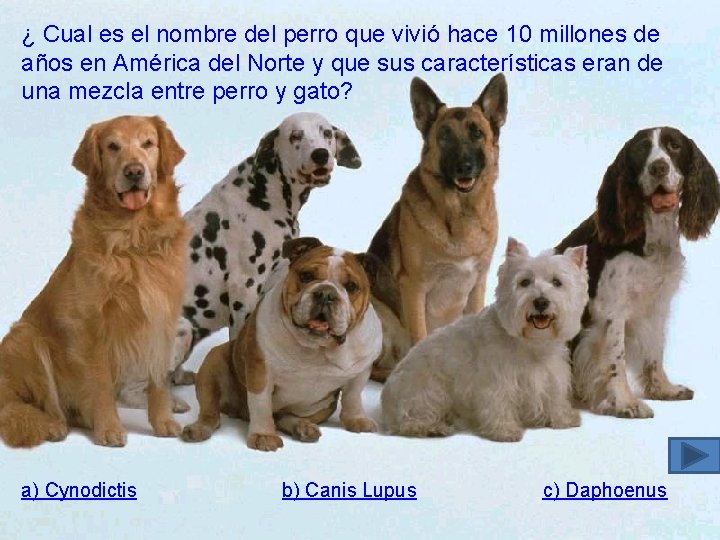 ¿ Cual es el nombre del perro que vivió hace 10 millones de años