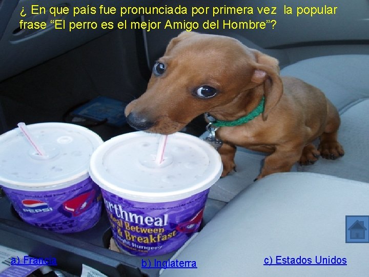 ¿ En que país fue pronunciada por primera vez la popular frase “El perro