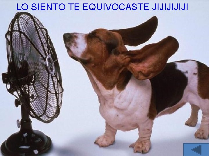 LO SIENTO TE EQUIVOCASTE JIJIJI 
