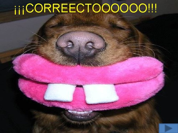 ¡¡¡CORREECTOOOOOO!!! 