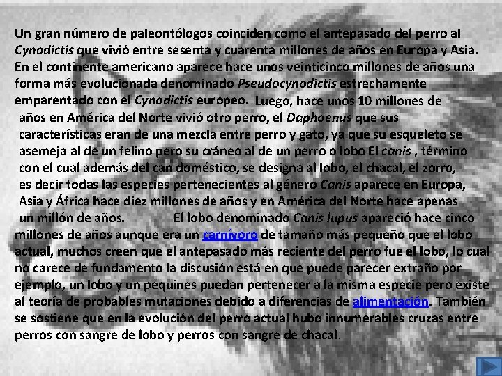 Un gran número de paleontólogos coinciden como el antepasado del perro al Cynodictis que