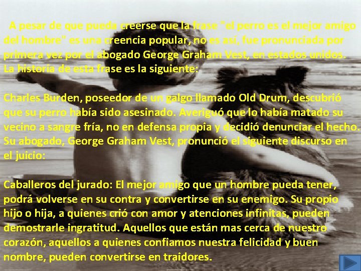 A pesar de que pueda creerse que la frase "el perro es el mejor