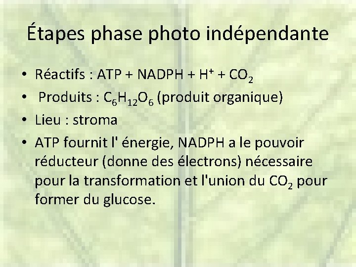 Étapes phase photo indépendante • • Réactifs : ATP + NADPH + H+ +