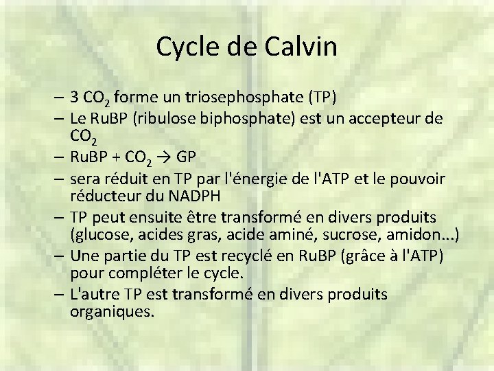 Cycle de Calvin – 3 CO 2 forme un triosephosphate (TP) – Le Ru.