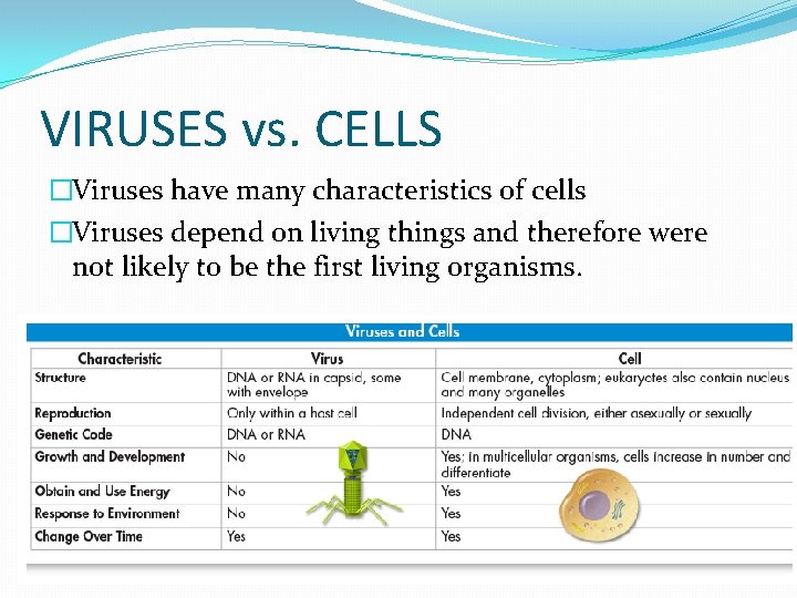 VIRUSES vs. CELLS �Viruses have many characteristics of cells �Viruses depend on living things