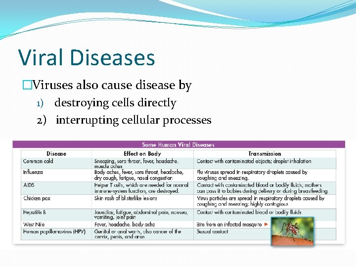 Viral Diseases �Viruses also cause disease by 1) destroying cells directly 2) interrupting cellular
