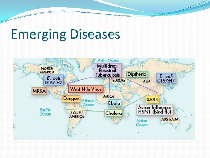 Emerging Diseases 