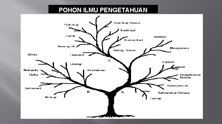 POHON ILMU PENGETAHUAN 