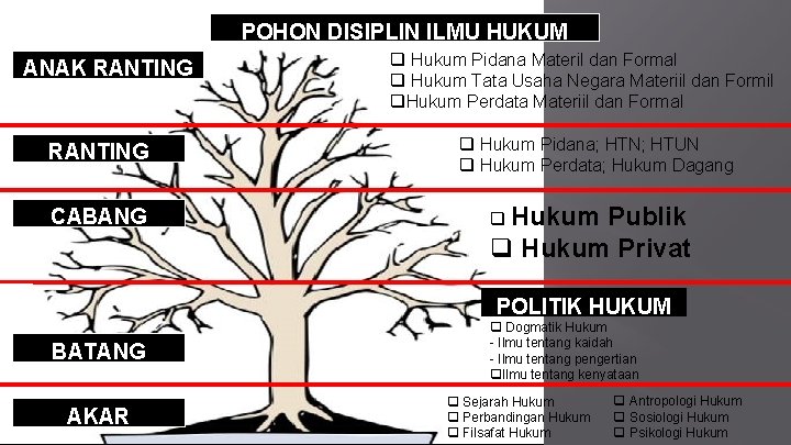 POHON DISIPLIN ILMU HUKUM ANAK RANTING CABANG q Hukum Pidana Materil dan Formal q