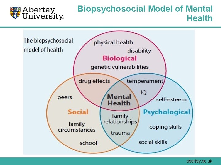 Biopsychosocial Model of Mental Health abertay. ac. uk 