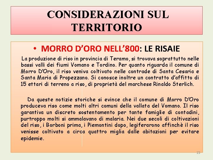 CONSIDERAZIONI SUL TERRITORIO • MORRO D’ORO NELL’ 800: LE RISAIE La produzione di riso