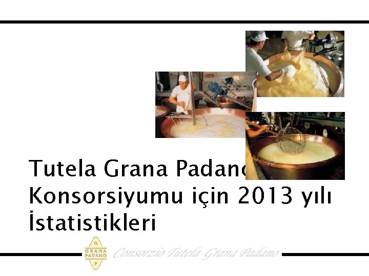 Tutela Grana Padano Konsorsiyumu için 2013 yılı İstatistikleri 