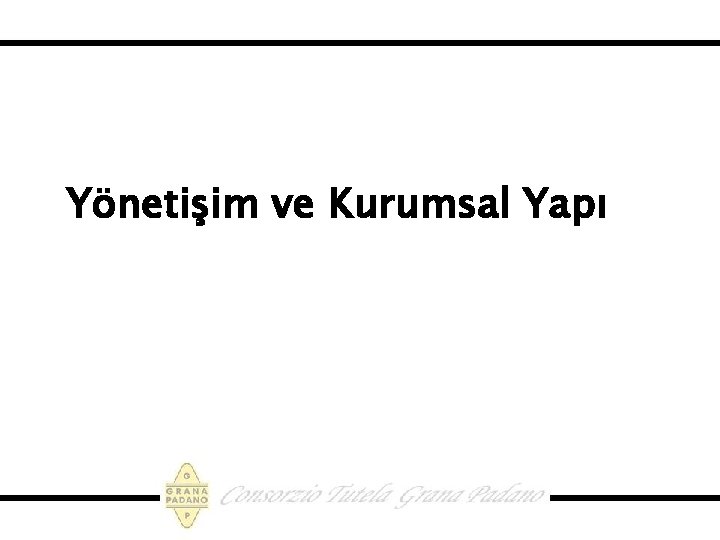 Yönetişim ve Kurumsal Yapı 