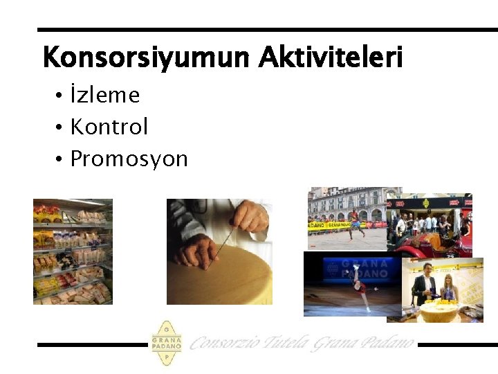 Konsorsiyumun Aktiviteleri • İzleme • Kontrol • Promosyon 