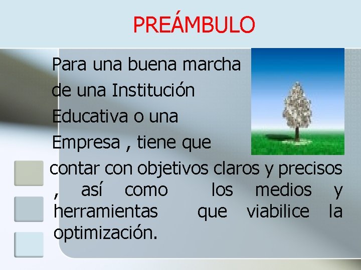  PREÁMBULO Para una buena marcha de una Institución Educativa o una Empresa ,