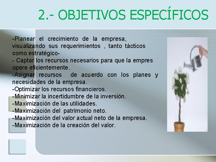 2. - OBJETIVOS ESPECÍFICOS -Planear el crecimiento de la empresa, visualizando sus requerimientos ,