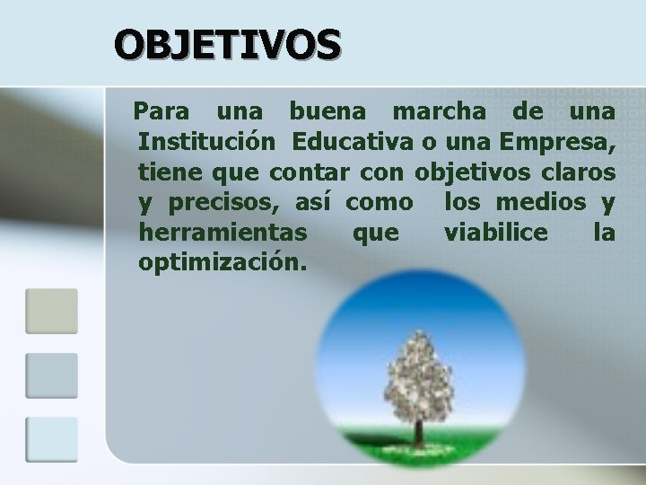 OBJETIVOS Para una buena marcha de una Institución Educativa o una Empresa, tiene que